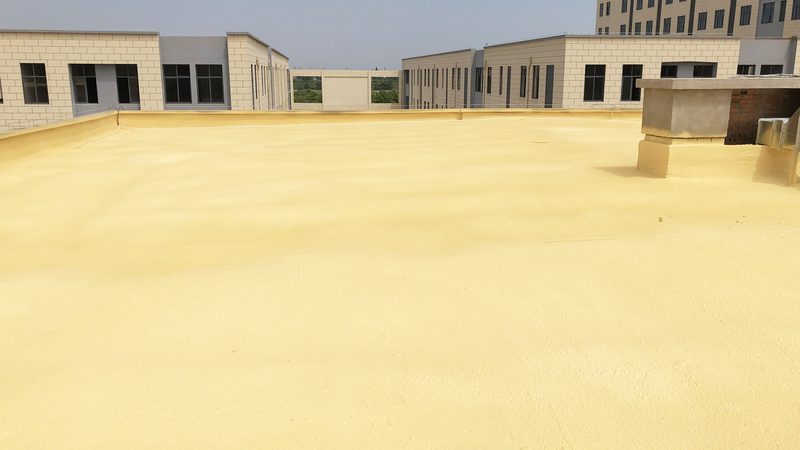 揭秘本地防水补漏公司排名背后的真相